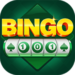 Bingo 101 apk